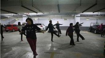 河南大娘爆料视频最新,揭秘背后惊人真相  第2张