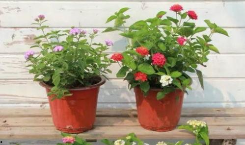 吉林美容院最新爆料视频,揭秘美容行业潜规则与消费者权益受损 第3张 吉林美容院最新爆料视频,揭秘美容行业潜规则与消费者权益受损 第3张